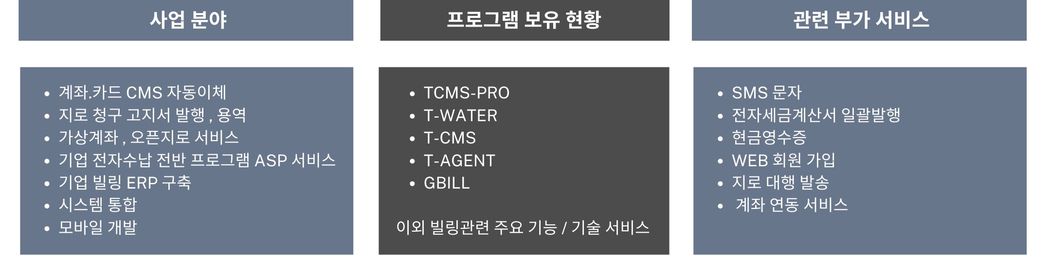 티앤비소프트 사업범위